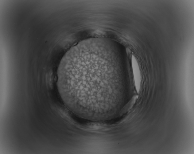 X0000086740223200705041414