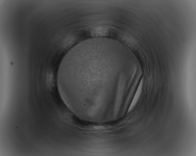 X0000086740224200705041414