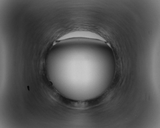 X0000086740225200705041414