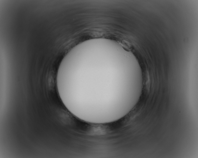 X0000086740226200705041414