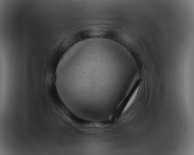 X0000086740227200705041414