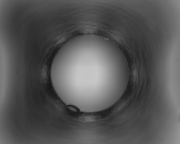 X0000086740228200705041414