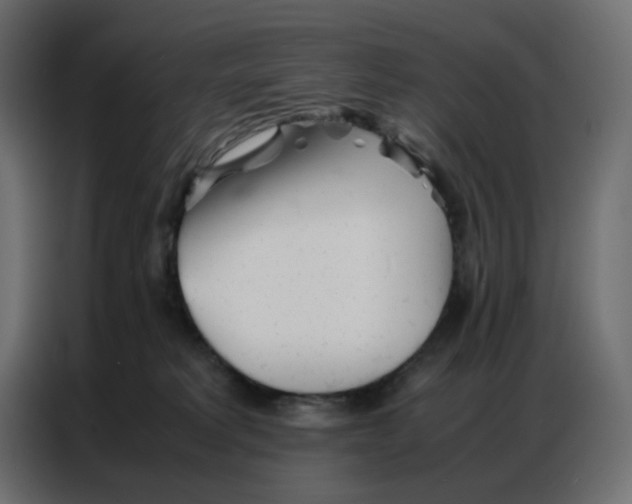 X0000086740229200705041414