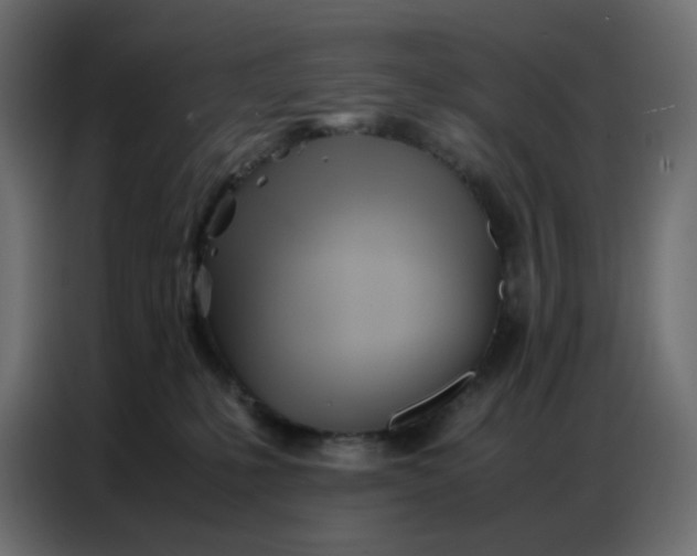 X0000086740231200705041414