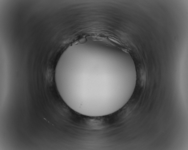 X0000086740232200705041414