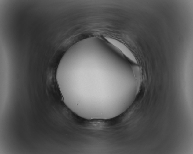 X0000086740233200705041414