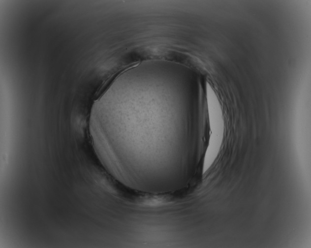 X0000086740235200705041414