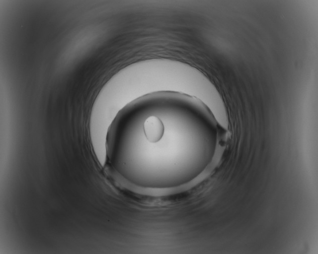 X0000086740239200705041414