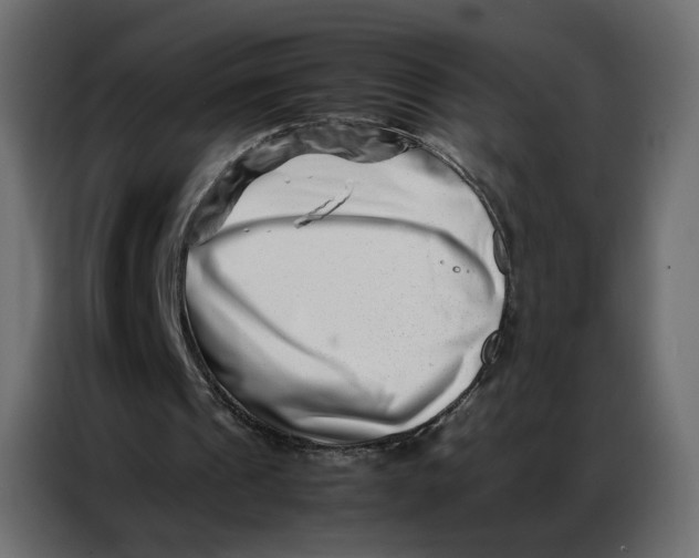 X0000086740241200705041413