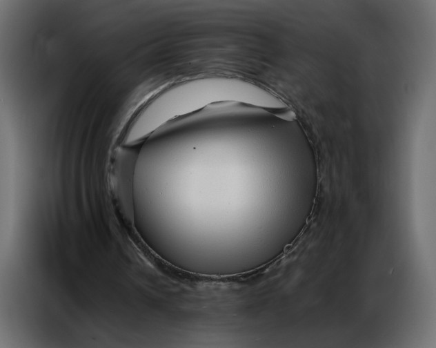 X0000086740242200705041413