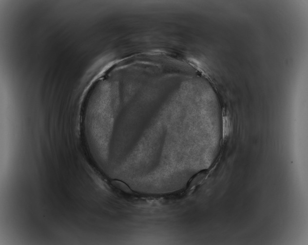 X0000086740243200705041413