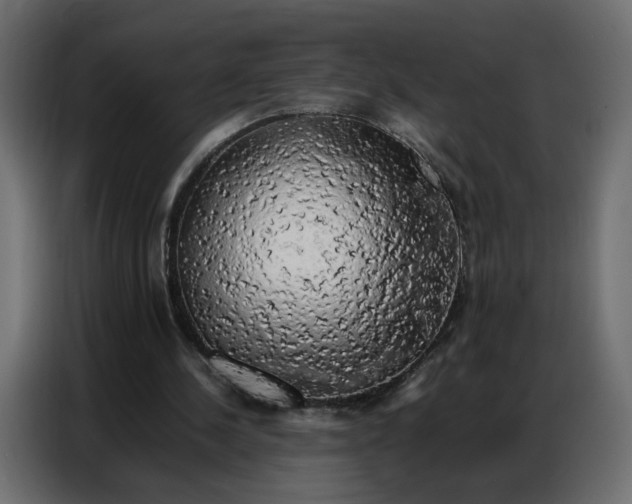 X0000086740244200705041413