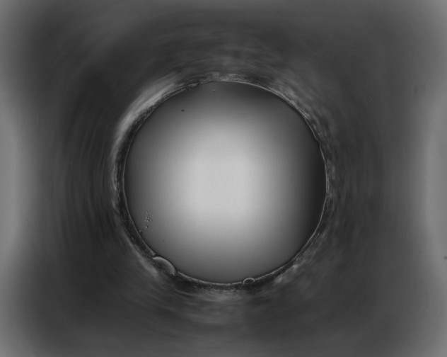 X0000086740245200705041413