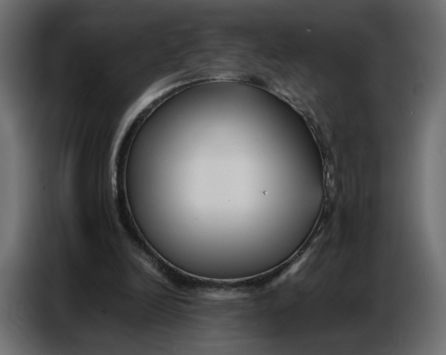 X0000086740246200705041413