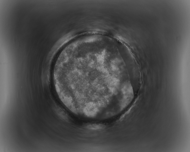 X0000086740247200705041413