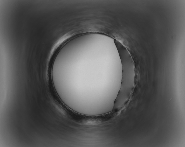 X0000086740248200705041413