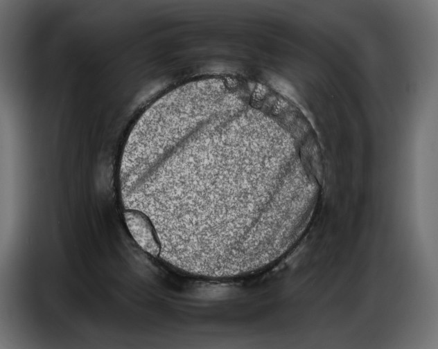 X0000086740249200705041413