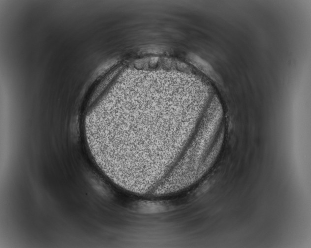 X0000086740250200705041413