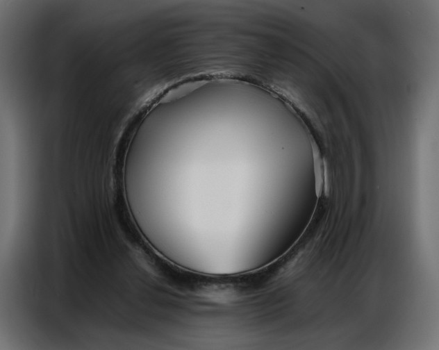 X0000086740252200705041413