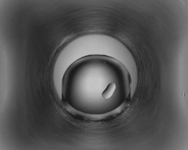 X0000086740256200705041413