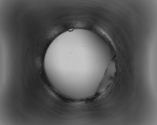 X0000086740257200705041413