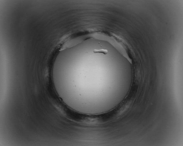 X0000086740260200705041413