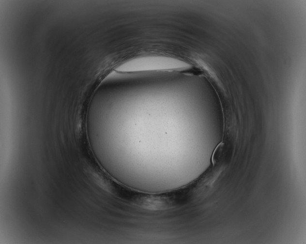 X0000086740261200705041413