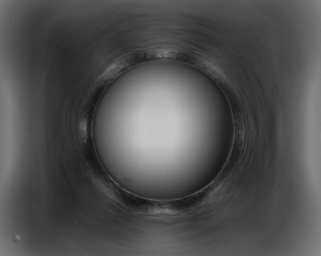 X0000086740262200705041413