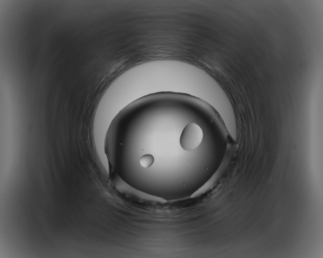 X0000086740264200705041413