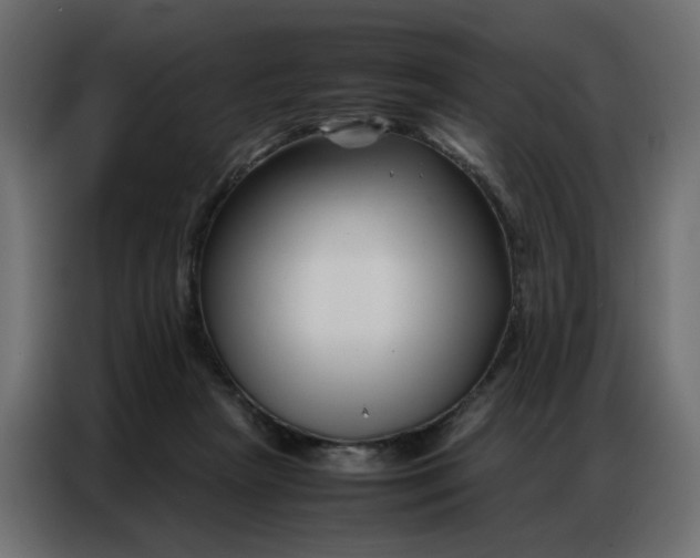 X0000086740265200705041413