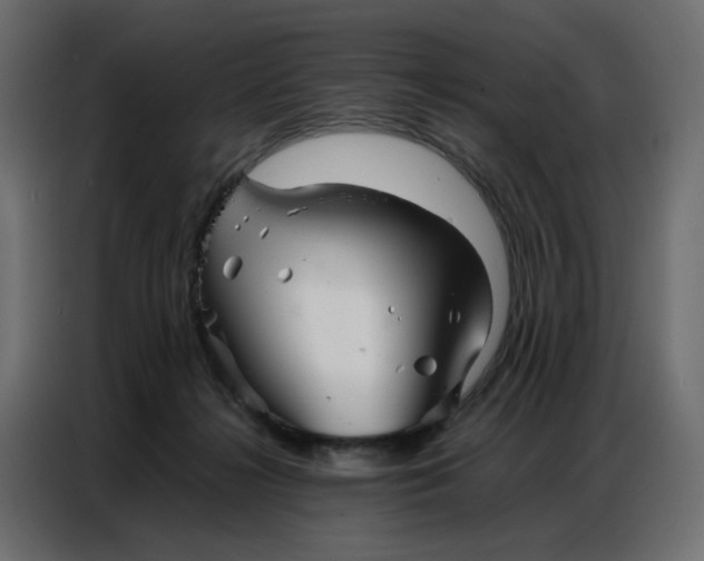 X0000086740268200705041413