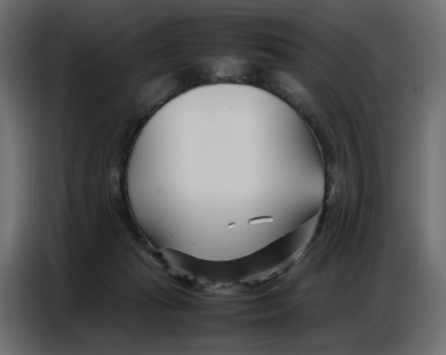 X0000086740269200705041413