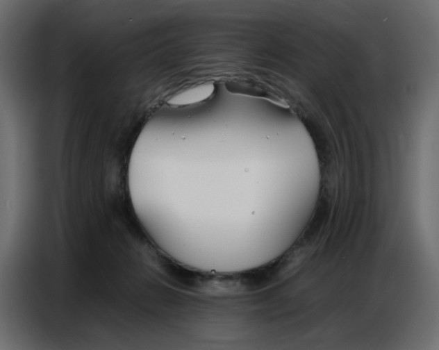 X0000086740270200705041413