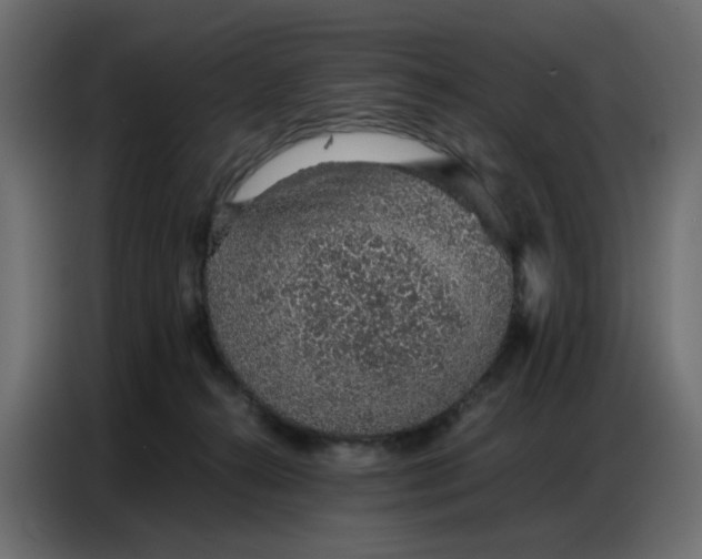 X0000086740272200705041413