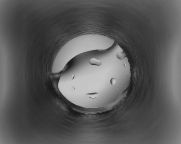 X0000086740276200705041413