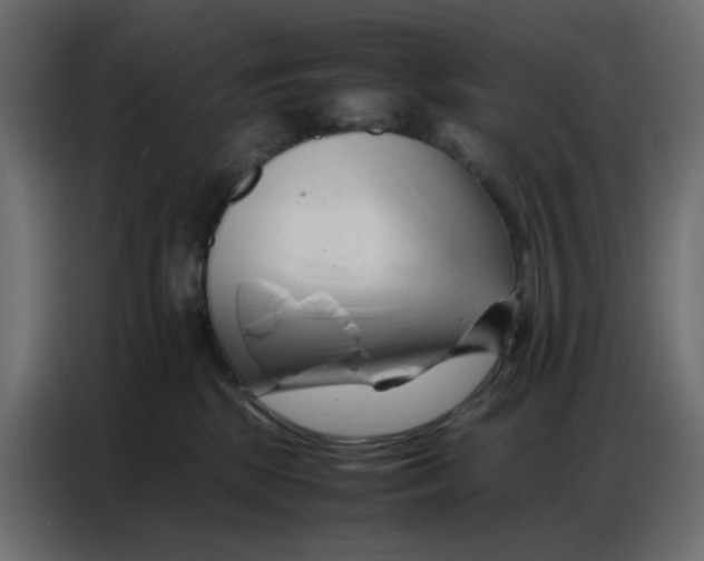 X0000086740281200705041413