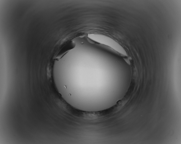 X0000086740282200705041413