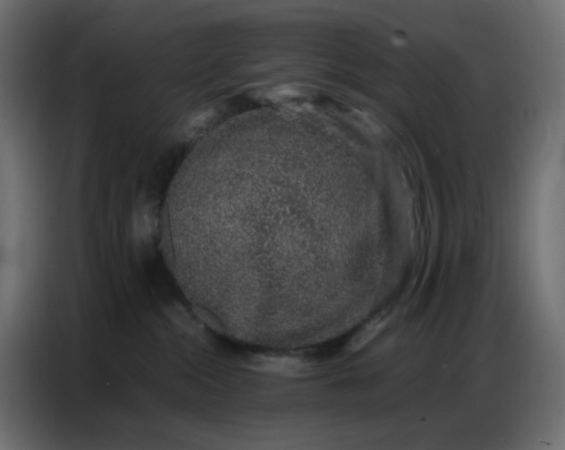 X0000086740284200705041413