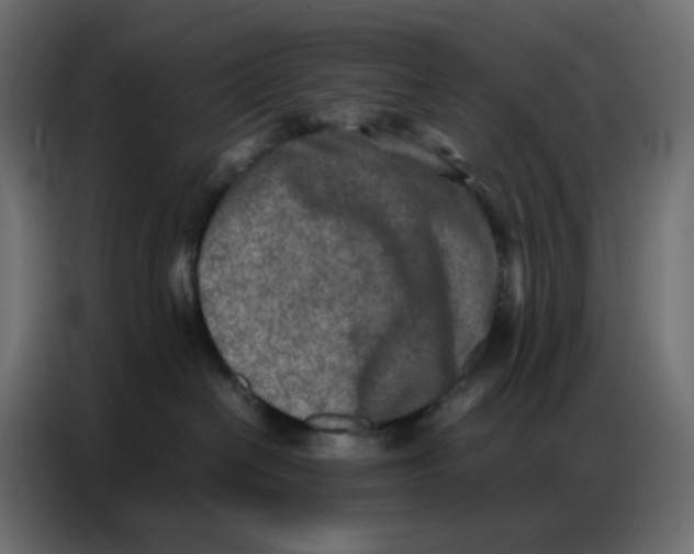 X0000086740286200705041414