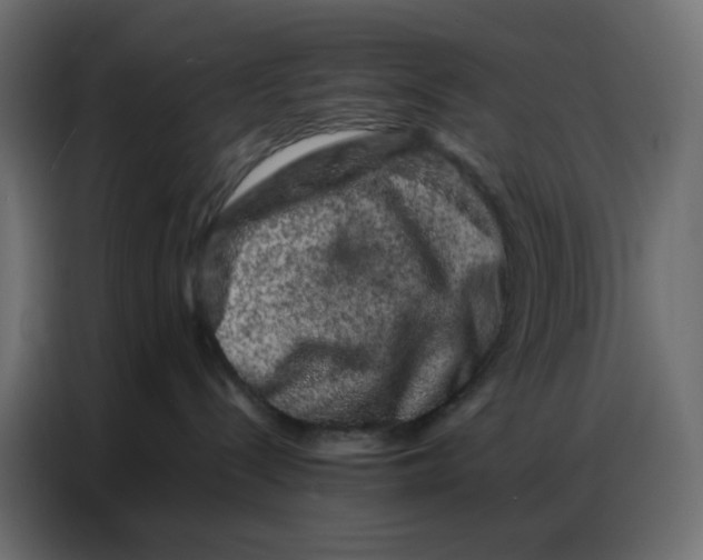 X0000086740288200705041414