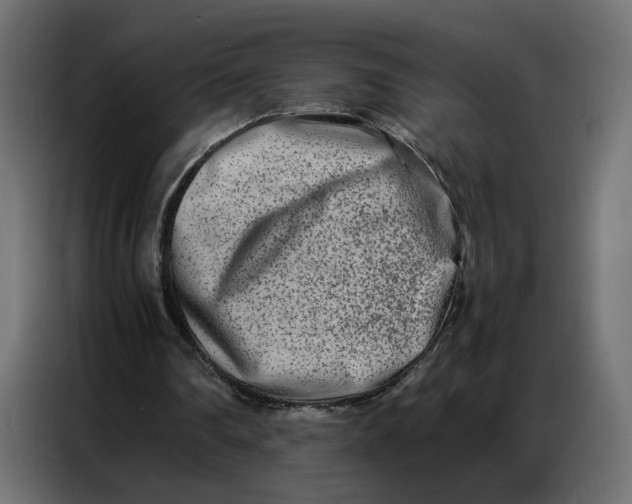 X0000086740290200705041413