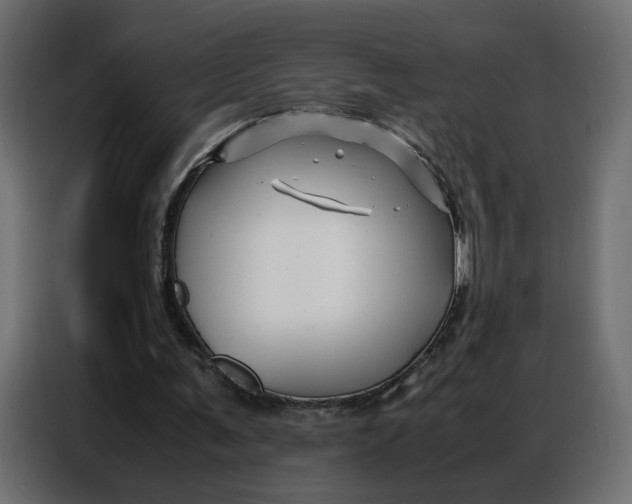 X0000086740291200705041413