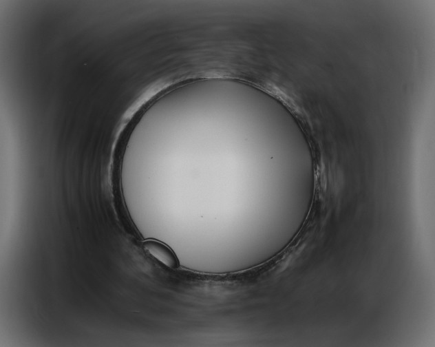 X0000086740292200705041413