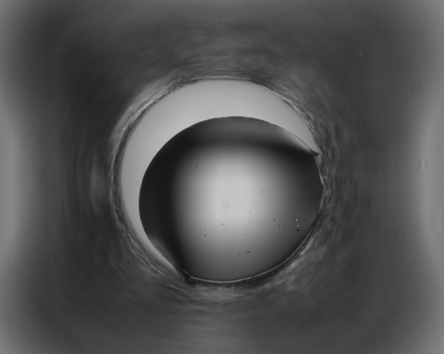 X0000086740293200705041413