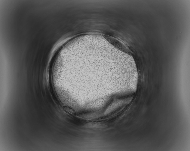 X0000086740294200705041413