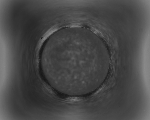 X0000086740295200705041413