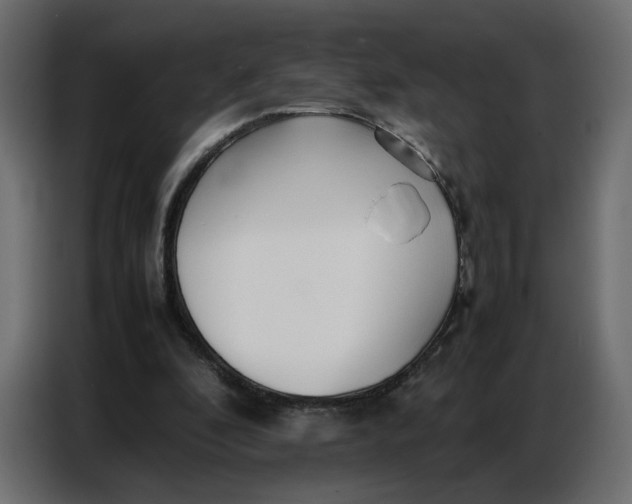 X0000086740296200705041413