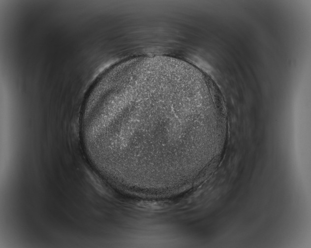 X0000086740297200705041413