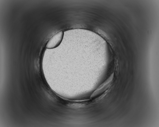 X0000086740298200705041413