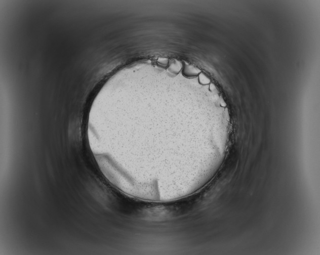 X0000086740299200705041413